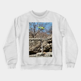 Struggling Tree, Namibia Crewneck Sweatshirt